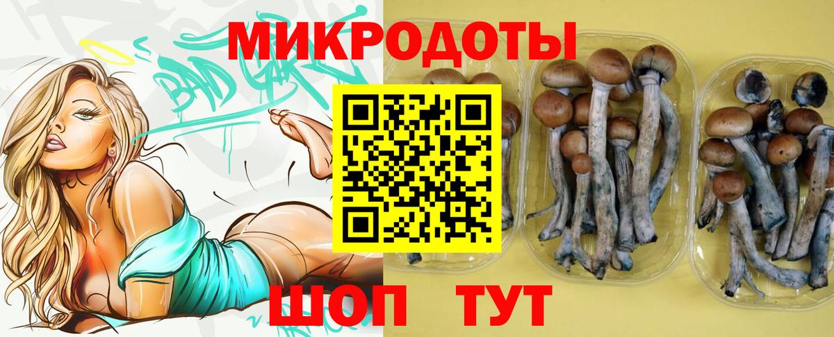 Псилоцибиновые грибы Magic Shrooms Муром